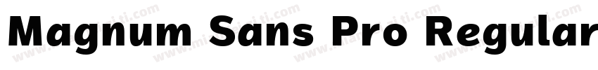 Magnum Sans Pro Regular字体转换